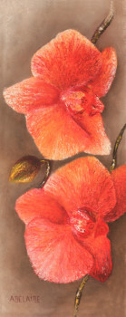 "Orchidée n°3 Auf der ARTactif-Website