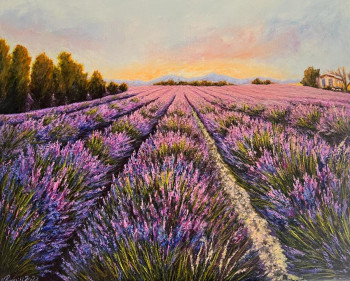 Zeitgenössisches Werk mit dem Titel « Champs de lavandes - VALENSOLE », Erstellt von NADYA RIGAILL