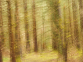 Zeitgenössisches Werk mit dem Titel « Au fond des bois.... », Erstellt von PHILIPPE BERTHIER