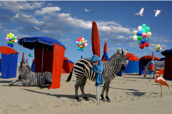 Zeitgenössisches Werk mit dem Titel « Zebra on the beach », Erstellt von PATRICK LE HEC