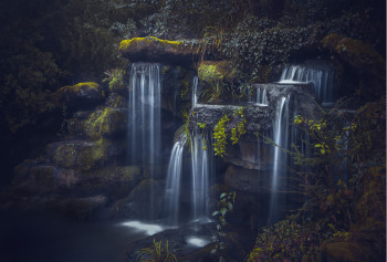 Zeitgenössisches Werk mit dem Titel « Cascade », Erstellt von CHICO LE MOAN