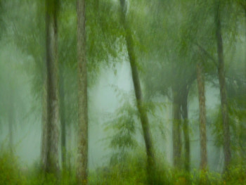 Zeitgenössisches Werk mit dem Titel « Arbres dans la brume........... », Erstellt von PHILIPPE BERTHIER