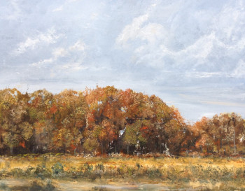 Zeitgenössisches Werk mit dem Titel « Automne Orléanais », Erstellt von HUGHES DE LA TAILLE