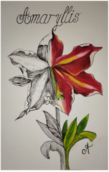 Zeitgenössisches Werk mit dem Titel « Amaryllis », Erstellt von CHRISTELLE ROUX