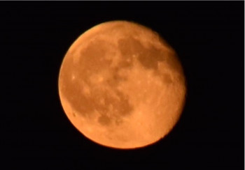 Zeitgenössisches Werk mit dem Titel « Dans la lune », Erstellt von 1FINE