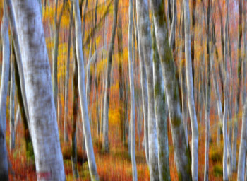 Zeitgenössisches Werk mit dem Titel « Couleurs..... », Erstellt von PHILIPPE BERTHIER