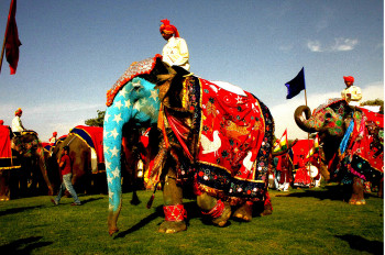 Zeitgenössisches Werk mit dem Titel « Fête des Eléphants. Jaipur. Inde », Erstellt von DOMINIQUE LEROY