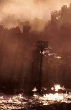 Zeitgenössisches Werk mit dem Titel « Chute Iguaçu. Côté Brésil. », Erstellt von DOMINIQUE LEROY