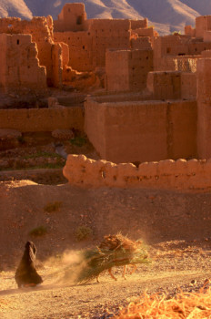 Zeitgenössisches Werk mit dem Titel « Femme marocaine dans la vallée du drâa. Maroc », Erstellt von DOMINIQUE LEROY