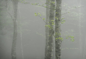 Zeitgenössisches Werk mit dem Titel « INVISIBLE......... », Erstellt von PHILIPPE BERTHIER