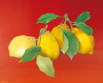 Zeitgenössisches Werk mit dem Titel « Citrons sur fond rouge », Erstellt von MARTHE BRILMAN