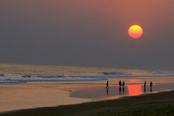 Zeitgenössisches Werk mit dem Titel « Coucher de soleil sur le Kerala. Inde », Erstellt von DOMINIQUE LEROY