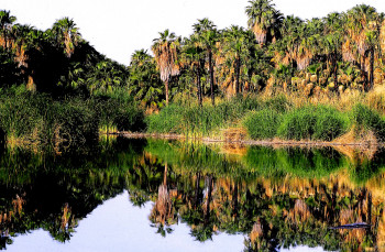 Zeitgenössisches Werk mit dem Titel « Basse Californie. Mexique », Erstellt von DOMINIQUE LEROY