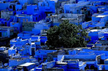 Zeitgenössisches Werk mit dem Titel « Jodhpur la ville bleu. Inde », Erstellt von DOMINIQUE LEROY