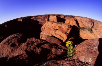 Zeitgenössisches Werk mit dem Titel « Grand Canyon. », Erstellt von DOMINIQUE LEROY