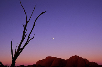 Zeitgenössisches Werk mit dem Titel « Mont Olga. Australie. », Erstellt von DOMINIQUE LEROY