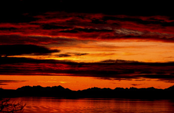 Zeitgenössisches Werk mit dem Titel « Soleil de minuit sur les Lofoten. Norvége », Erstellt von DOMINIQUE LEROY