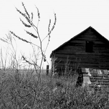 Zeitgenössisches Werk mit dem Titel « Saskatchewan », Erstellt von LAURENCE V