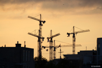 Zeitgenössisches Werk mit dem Titel « Grues au soleil couchant », Erstellt von CAROLINBO