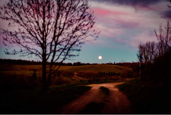 Zeitgenössisches Werk mit dem Titel « Pleine lune », Erstellt von SYLVIE LéONARD