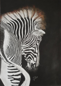 Zeitgenössisches Werk mit dem Titel « ZEBRE », Erstellt von SYLOU