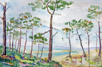 Zeitgenössisches Werk mit dem Titel « le banc d'Arguin sur le bassin d'Arcachon », Erstellt von MICHEL HAMELIN