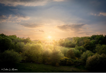 Zeitgenössisches Werk mit dem Titel « Sunset in eden garden », Erstellt von FRED LE MONNIER IMAGES