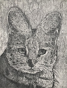 Zeitgenössisches Werk mit dem Titel « Chat Serval », Erstellt von JACKY ROUGET