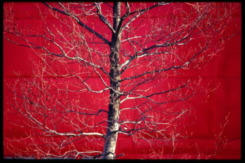 Zeitgenössisches Werk mit dem Titel « Arbre rouge », Erstellt von ISABELLE GERNIGON