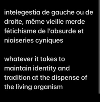 Zeitgenössisches Werk mit dem Titel « j’ai fait une faute, I hate humans », Erstellt von DAVID SROCZYNSKI