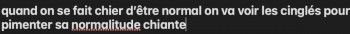 Zeitgenössisches Werk mit dem Titel « il s'agit de relever le niveau général de la normalité et plus vite que ça! », Erstellt von DAVID SROCZYNSKI