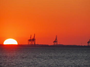 Zeitgenössisches Werk mit dem Titel « Les girafes du port », Erstellt von MICHEL PAULIN