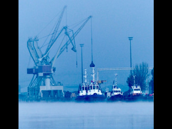 Zeitgenössisches Werk mit dem Titel « Les grues du port », Erstellt von MICHEL PAULIN