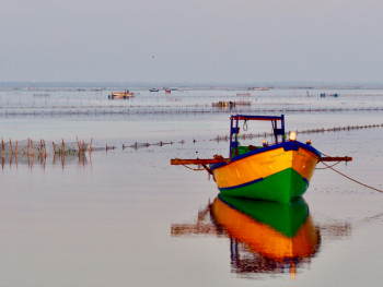 Zeitgenössisches Werk mit dem Titel « Matin calme ,lagune nord Sri Lanka », Erstellt von MICHEL PAULIN