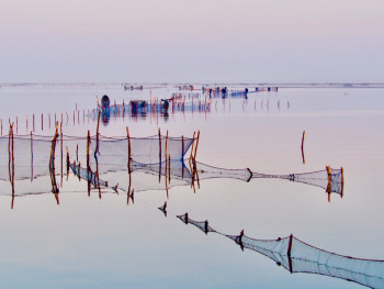 Zeitgenössisches Werk mit dem Titel « La lagune », Erstellt von MICHEL PAULIN