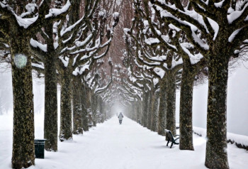 Zeitgenössisches Werk mit dem Titel « Ballade sous la neige », Erstellt von NICOLAS LHOTEL