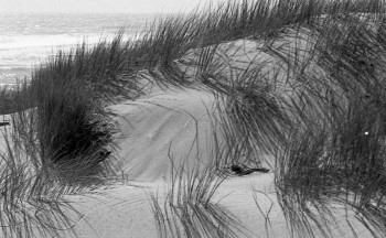 Zeitgenössisches Werk mit dem Titel « Dune à la Côte Sauvage les Mathes Charente-Maritime », Erstellt von CASSANDRE