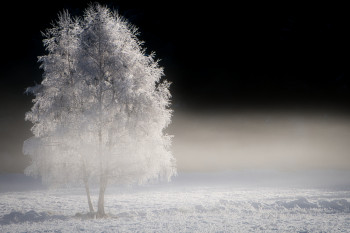 Zeitgenössisches Werk mit dem Titel « Brumes glaciales », Erstellt von VISION D'HAYER