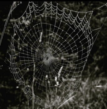 Zeitgenössisches Werk mit dem Titel « Photo numérique 5098 », Erstellt von AURORE MASSIMI