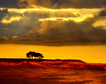 Zeitgenössisches Werk mit dem Titel « Colorado Azuréen. », Erstellt von ALAIN SORIANO