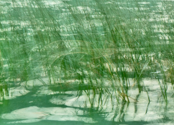 Zeitgenössisches Werk mit dem Titel « La danse du lac », Erstellt von ODILE PARENT