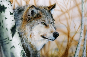 Zeitgenössisches Werk mit dem Titel « LE LOUP GRIS », Erstellt von LORAN