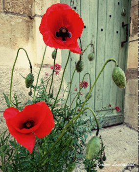 Zeitgenössisches Werk mit dem Titel « Les coquelicots d'Auvers », Erstellt von CORINNE LESCLINGAND