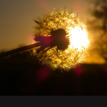 Zeitgenössisches Werk mit dem Titel « Nouveau soleil », Erstellt von PEGGY ROCHEFORT