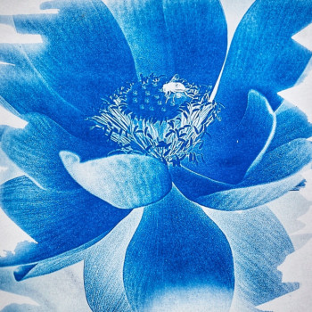 Zeitgenössisches Werk mit dem Titel « Lotus bleu », Erstellt von MAG