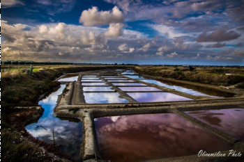 Zeitgenössisches Werk mit dem Titel « Marais d'été », Erstellt von OLICAMéLéON PHOTO