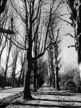 Zeitgenössisches Werk mit dem Titel « Le cimetière », Erstellt von ALINE TAIEB