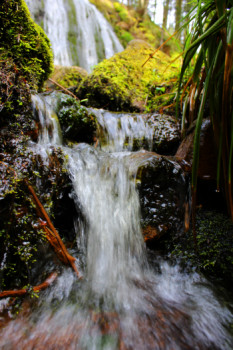 Zeitgenössisches Werk mit dem Titel « la cascade de Geradmer », Erstellt von L'OEIL DE MARIE