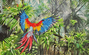 Zeitgenössisches Werk mit dem Titel « Vol vers la liberté,Macaw », Erstellt von JULIAN WHEAT