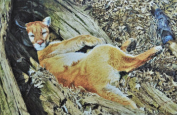 Zeitgenössisches Werk mit dem Titel « Siesta,la Puma », Erstellt von JULIAN WHEAT